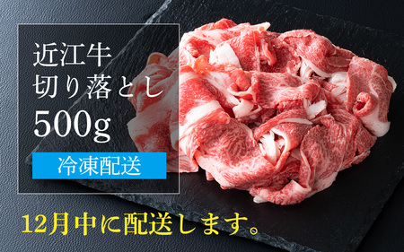 【12月発送予約】【年内発送】近江牛 切り落とし 500g [CS009a] / 近江牛 切り落し 切りおとし 牛肉 お肉 肉 高級 三大和牛 国産牛 国産 小間肉 小間切れ 小間切れ肉 冷凍 滋賀県