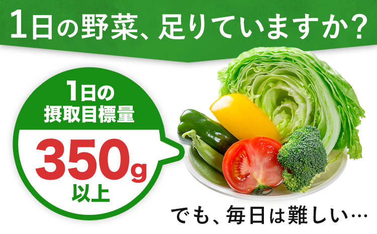 伊藤園 1日分の野菜 200ml×48本 砂糖不使用 食塩不使用 栄養補給ドリンク 管理栄養士推奨 野菜ジュース ベジタブルジュース 栄養バランス ドリンク 飲料 ジュース 北海道 日高町