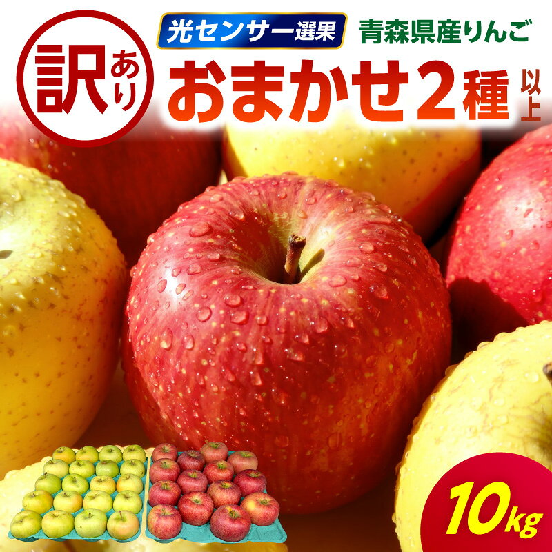 【ふるさと納税】★レビュー高評価★【 訳あり 】 りんご 10kg 2品種おまかせ ( 配送時期が選べる 10月～3月 )/ リンゴ 林檎 アップル 規格外 不揃い 傷 フルーツ 果物 くだもの 秋 旬 10月 11月 12月 1月 2月 3月 青森県 五所川原市