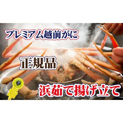 ふるさと納税 越前町 一番蟹　越前国の主!越前がにの象徴 × 1杯 ≪浜茹で≫【2・3月発送分】 |  | 01