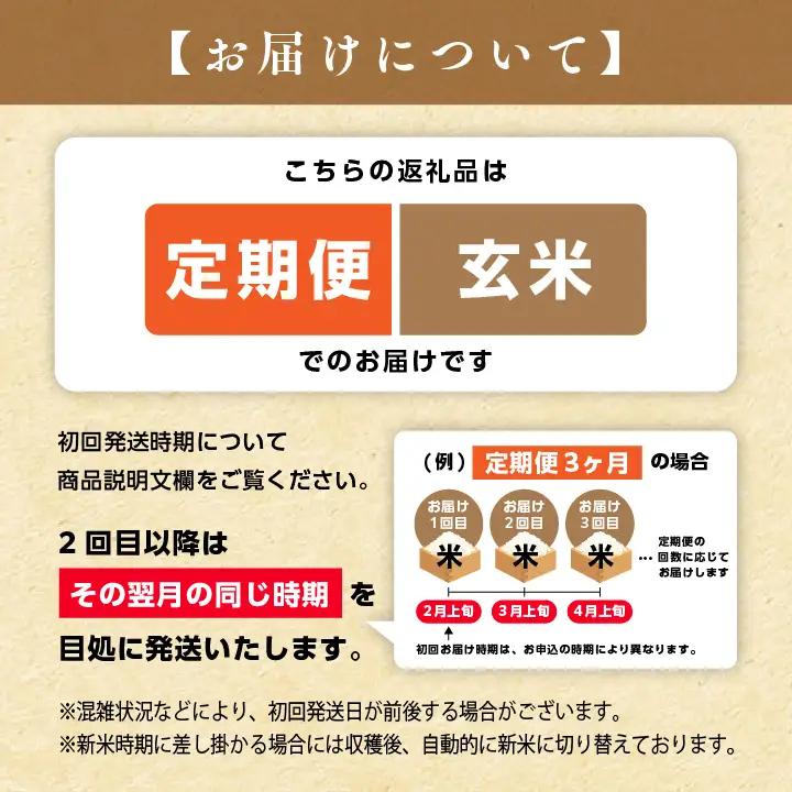 《先行予約》【12ヶ月定期便】玄米 令和8年産 こしひかり 10kg 玄米