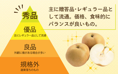 【先行予約】上野梨園の豊水梨 8～12玉入 約5kg  4L～6L【秀品】《数量限定》梨園直送！ / 期間限定 果物 フルーツ 農家直送 シャキシャキ もぎたて 旬 お取り寄せ ※2025年9月上旬よ