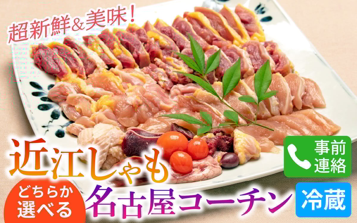 
            超新鮮＆美味！大津市で飼育した近江しゃもor名古屋コーチン！[g005]/鶏肉 しゃも シャモ 名古屋コーチン 鍋 すき焼き 鶏モツ 鶏がら 新鮮 送料無料
          