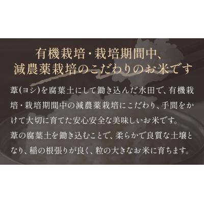 ふるさと納税 石巻市 〈先行受付〉【定期便3回】 米 令和7年産 つや姫 精米 15kg (5kg×3) こめ コメ お米 |  | 02