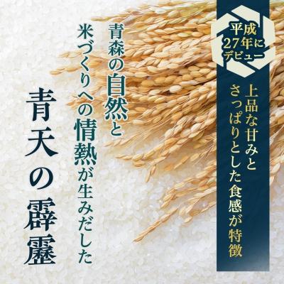 ふるさと納税 青森市 青天の霹靂 精米5kg |  | 01