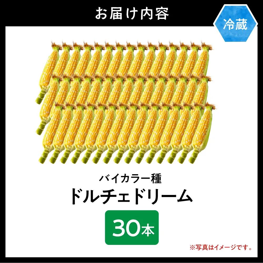 とうもろこし「黄色と白粒のバイカラーコーン」ドルチェドリーム 30本| 北海道とうもろこし