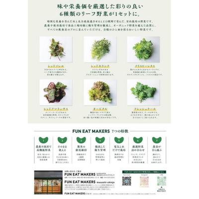 ふるさと納税 川崎市 ミシュランシェフ御用達 鮮度2週間 6種リーフ300g |  | 01
