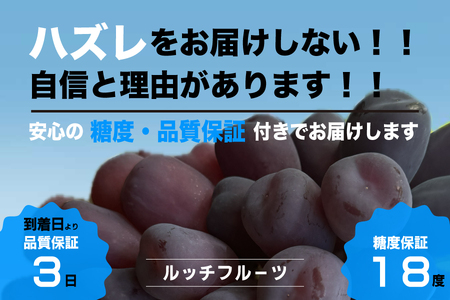 【糖度18度保証付】ブラックシャインマスカット「富士の輝」約750g 1房 FN-Limited 104-018-FN | 【数量限定】旬の美味しいフルーツだけをお届けします【ルッチ Rucci】産地直送 山梨県 笛吹市 果物 葡萄 ぶどう 黒ブドウ 黒系 黒いシャインマスカット 贈答 人気 ギフト