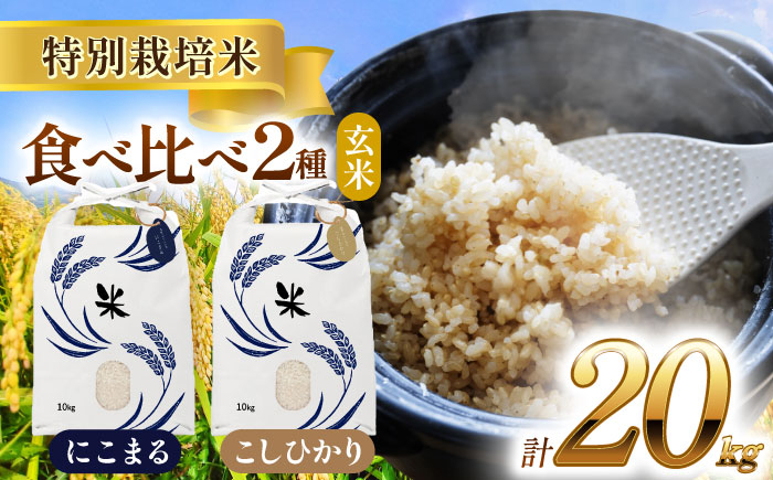 
【選べる発送月】愛知県産 コシヒカリ・にこまる 玄米 各10kg 特別栽培米 お米 ご飯 愛西市／戸典オペレーター [AECT015]
