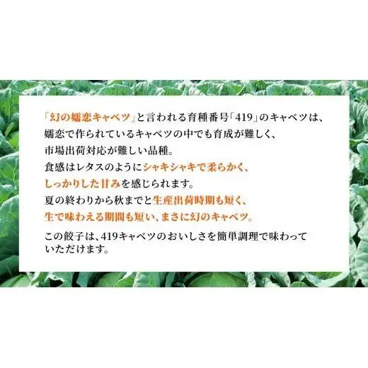 まぼろしのキャベツ419使用 ザ・羽生田餃子 15個 × 2パック 合計30個 大容量 [AL001tu]