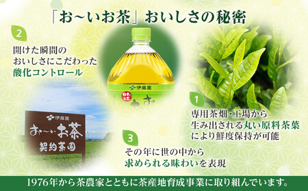 【定期便 全6回 毎月発送】機能性表示食品 お～いお茶 濃い茶  2L × 1ケース（6本）