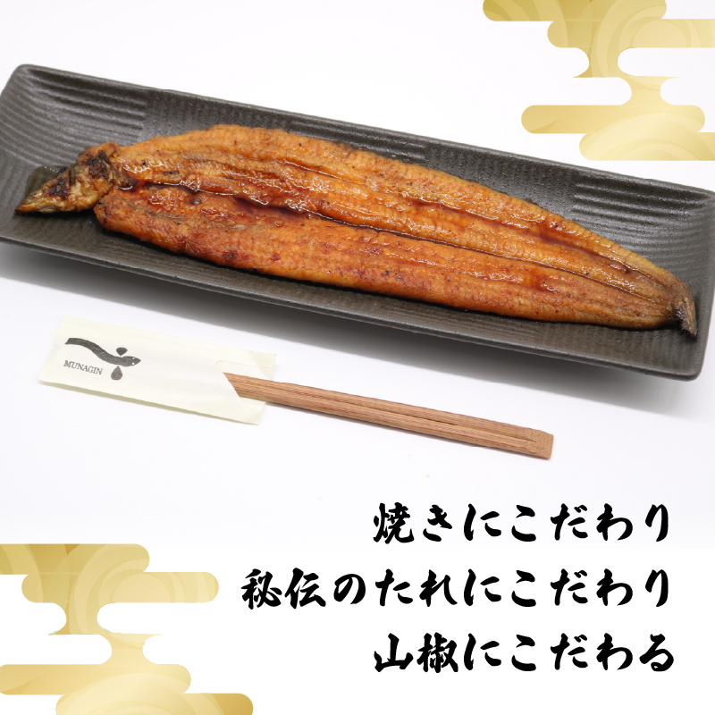 【6回定期便】 うなぎ蒲焼 約170g×3尾 高知県産 最高品質 合計約510g たれ 山椒 国産 鰻 かば焼 土佐焼 うな丼 うな重 高知県 南国市