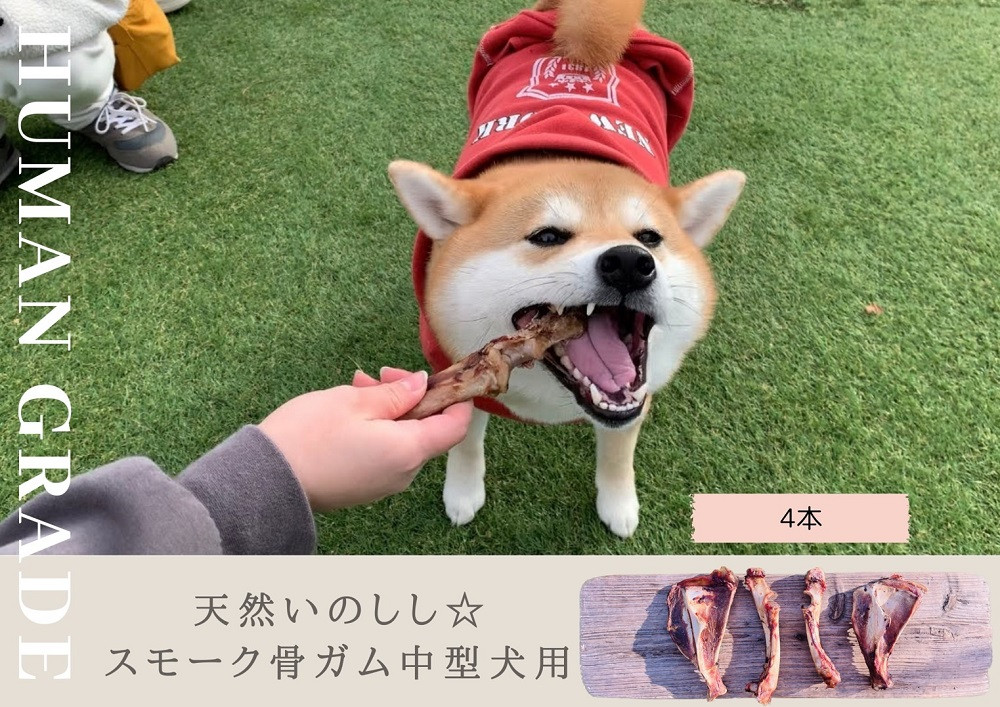 
FB083 中型犬向け☆天然いのししのスモーク骨ガム4本（300～400g）
