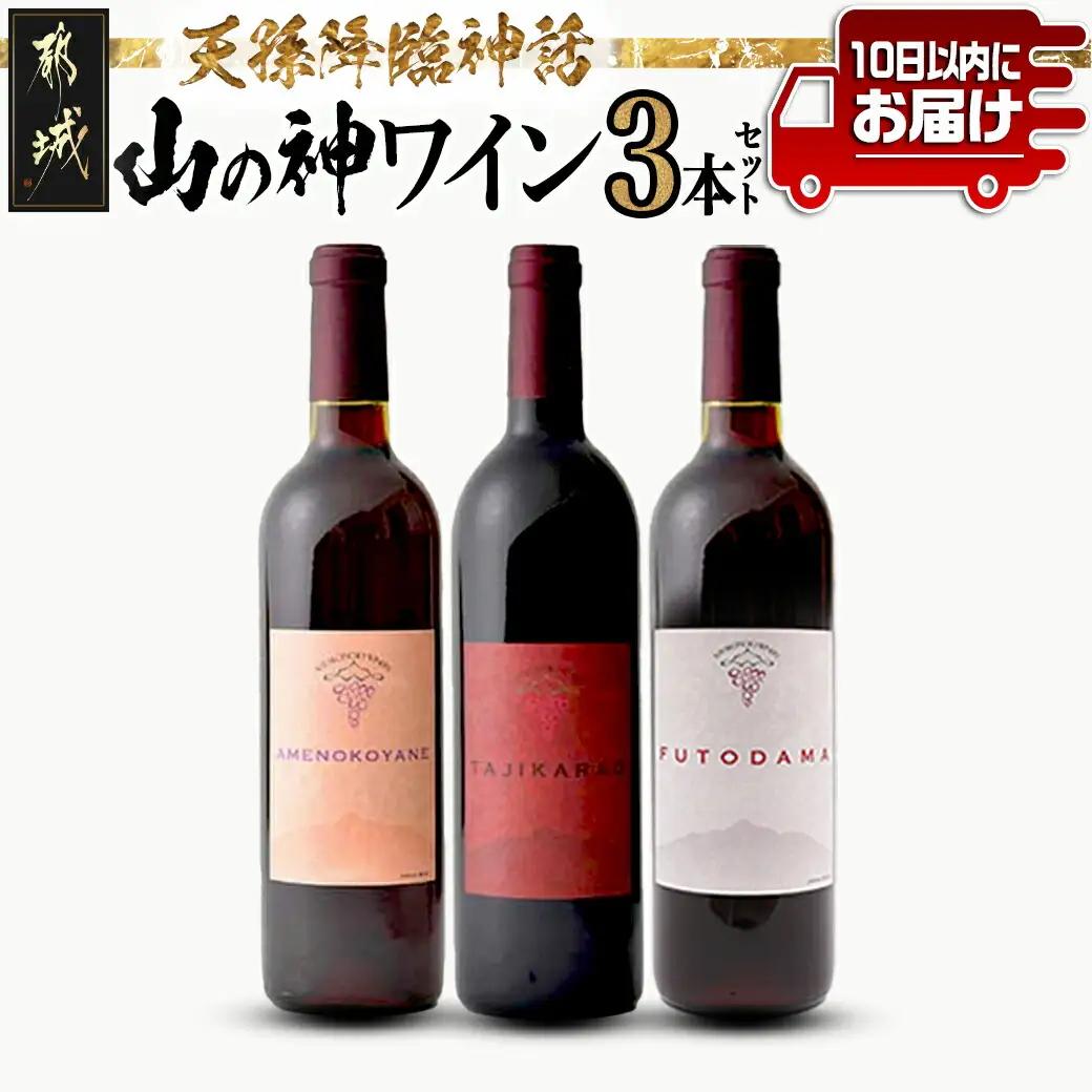 天孫降臨神話・山の神 ワイン3本セット ≪みやこんじょ特急便≫〔24-20-017-Q〕_(都城市) 都城産ワイン ワイナリー 赤 辛口 11度 12度 13度 720ml 750ml AMENOKOYANE TAJIKARAO FUTODAMA
