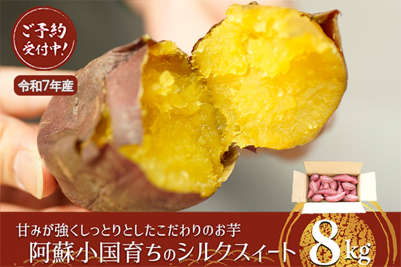 
            【下巣畑農産】先行予約 令和7年産 熟成 シルクスィート さつま芋 唐芋 長期貯蔵 産地直送 まとめ買い 九州産 熊本産 小国産 地場産 スイーツ 蜜芋 8kg 贈答 ご家庭用 焼き芋 スィートポテト 高糖度 GAP認証 6次産業認定 認定農家
          