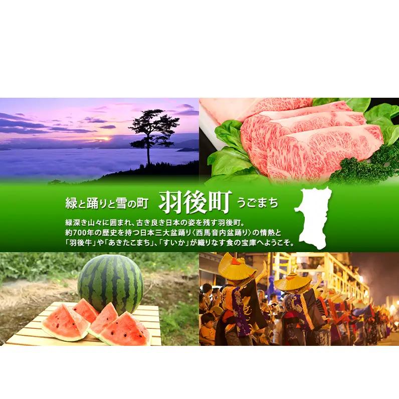 100日熟成の極上のお供！伝統いぶりがっこ「金の蔵」大満足の4種詰め合わせB［須藤健太郎商店］【 漬物 漬け物 いぶりがっこ 燻製 大根 だいこん スモークチーズ ふりかけ ご飯のお供 おつまみ 家飲