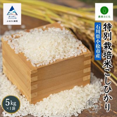 ふるさと納税 小松市 コシヒカリ 5kg 令和7年産 新米 特別栽培米こしひかり