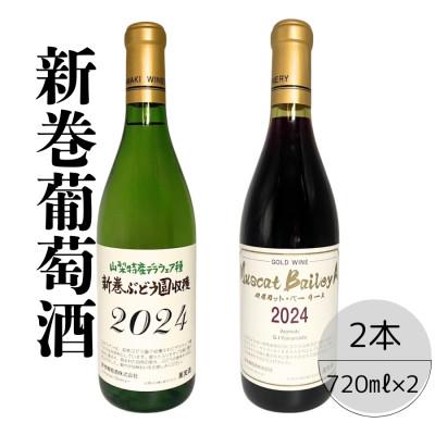 ふるさと納税 笛吹市 新巻酒造が贈るゴールドワインMBAと新巻ワインデラウェア赤白　計2本セット　167-029