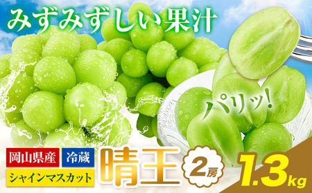 【2026年発送】シャインマスカット 晴王  1.3kg   ハレノフルーツ マスカット　【配送不可地域あり】