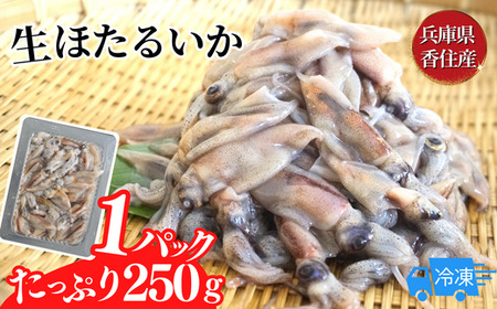 訳あり ほたるいか 小分け 250g×4パック 1kg  【先行予約】令和6年4月以降発送予定 ホタルイカ いか イカ 生ほたるいか 便利 冷凍 兵庫県 香住産 家飲み 珍味 海鮮 刺身 刺し身 生食