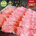 【ふるさと納税】厳選 された GI認証 くまもと あか牛 特選 焼肉用 約500g お肉 肉 牛肉 あかうし 赤牛 和牛 カット済 ホームパーティー バーベキュー 国産 冷凍 熊本県 合志市 送料無料