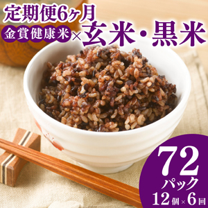 定期便 6ヶ月 ご飯パック 金賞 健康米 玄米・黒米 120g×12個入り ご飯パック