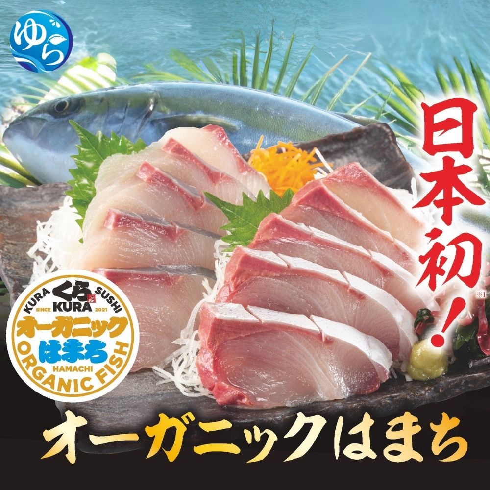 【ふるさと納税】 【くら寿司】オーガニック はまち 1尾 オリジナルブランド / はまち ぶり 刺身 フィレ ロイン カマ 刺身 丸ごと 数量限定 ★先行予約★ ※2025年12月下旬〜2026年4月末順次発送 //best //meisan