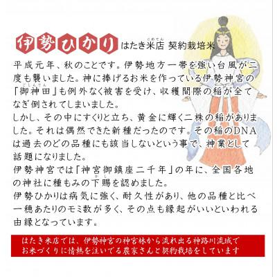 ふるさと納税 志摩市 【伊勢奉祝】 お米 伊勢ひかり5kg　精米 |  | 01