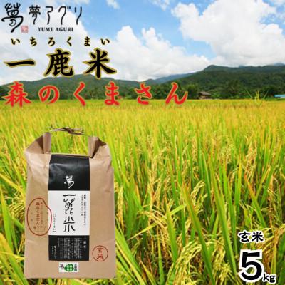 ふるさと納税 山鹿市 一鹿米 森のくまさん 栽培期間中肥料農薬不使用 米 玄米 5kg【株式会社 夢アグリ】《山鹿市》