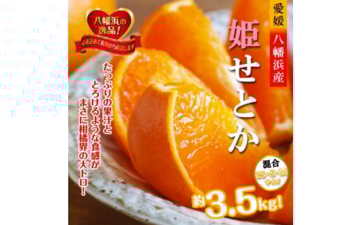 2026年2月発送開始　みずみずしい香り・柑橘の大トロ!「姫せとか」約3.5kg＜D39-60＞【1583778】