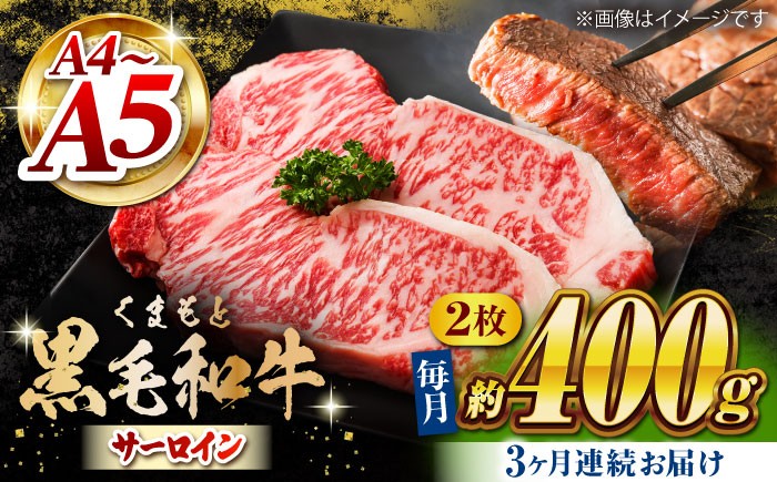 
            【3回定期便】くまもと黒毛和牛 サーロインステーキ 計400g（2枚）【馬刺しの郷 民守】  ステーキ サーロイン ヒレ 霜降り 熊本 熊本県 黒毛和牛  [ZBL052]
          