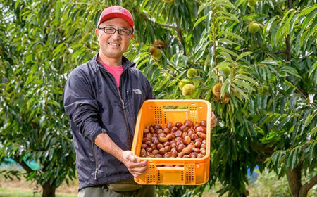 先行受付 無くん蒸小布施栗 約1kg ［おぶせファーマーズ］ 令和8年産 【2026年9月中旬～11月上旬発送】 ［F-33］