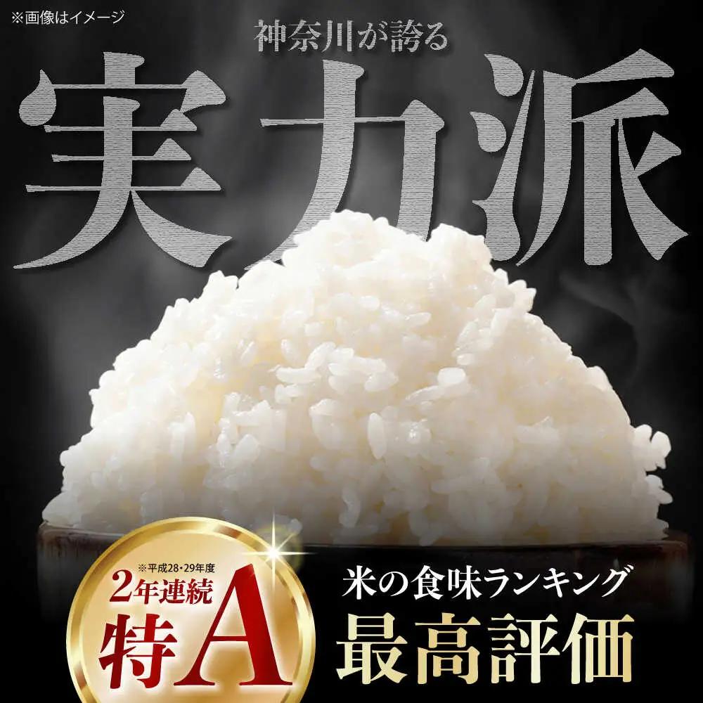 米 はるみ米 5kg はるみ [BDBB002] 