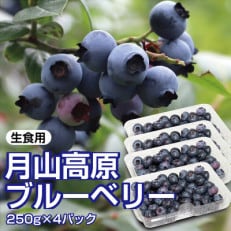 山形県月山高原産　大澤農園のブルーベリー　250g×4パック　計1kg　生食用