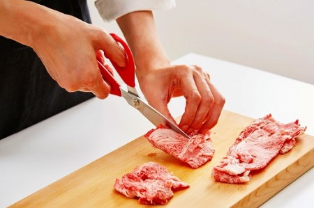 浜内千波のキッチンバサミ  (赤　ハンドルが柔らかい　女性向け　CHI-01)　H10-104