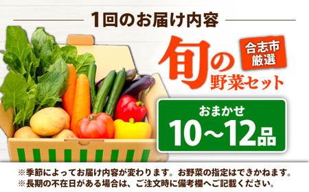 【年5回コース定期便】【数量限定】合志の旬のお野菜10〜12品目【一般社団法人クラッシーノこうし】[AYAB020]
