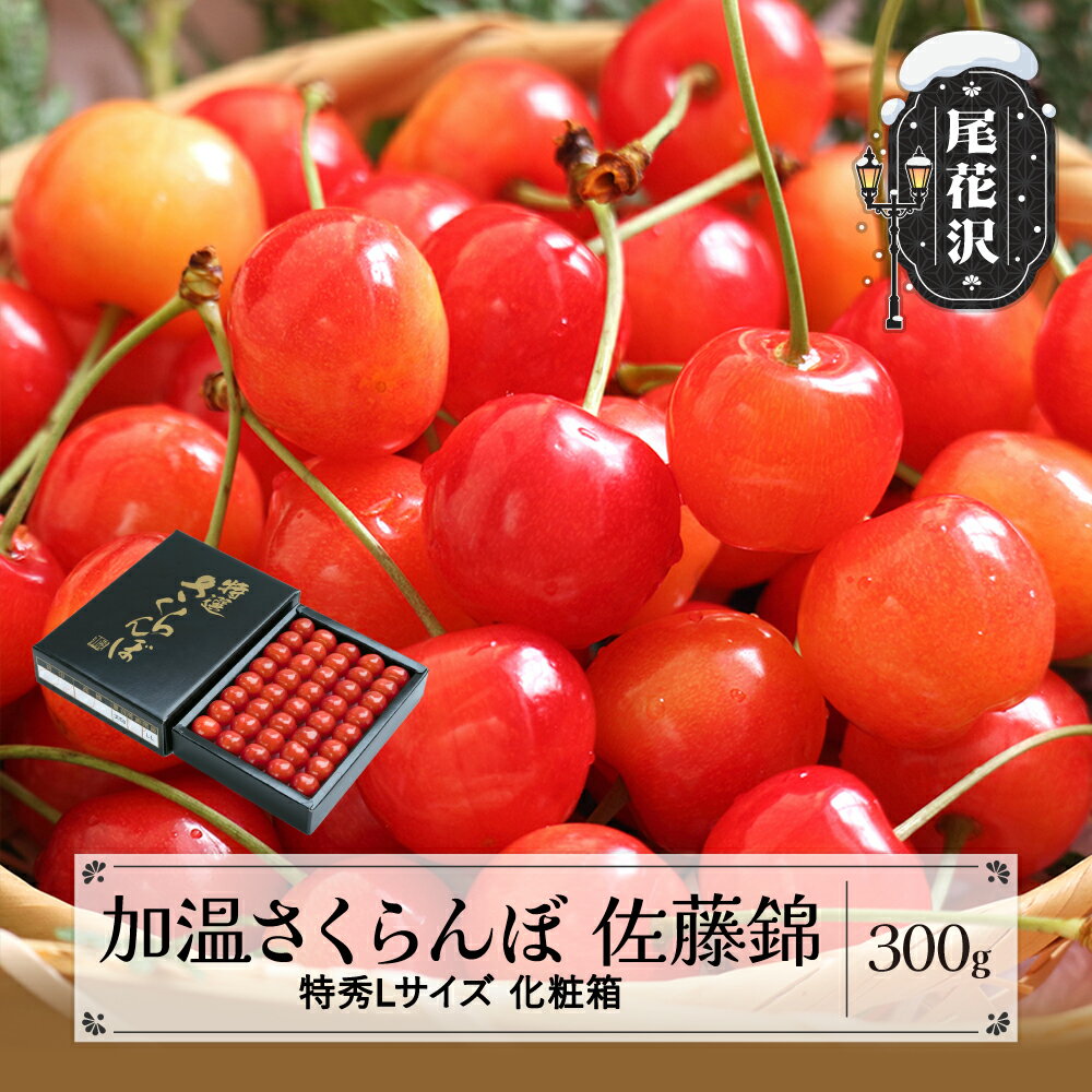 【ふるさと納税】先行予約 加温 さくらんぼ 佐藤錦 特秀Lサイズ 300g 5月上旬~下旬頃発送 プレゼント ギフト 化粧箱鏡詰め 2026年産 令和8年産 山形県産 ハウス ハウス栽培 送料無料 サクランボ※沖縄・離島への配送不可