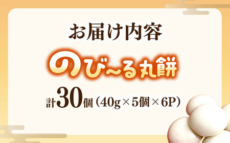 【手作りつきたて急速冷凍】佐賀県産もち米100%自慢の杵つき丸白餅(冷凍)計30個入(40g×5個×6P) / 佐賀県 / 山代ガス株式会社 旬菜舎[41AABM019]