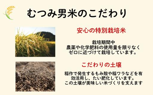 自然栽培 むつみ男米 白米 10kg 自然栽培　白米 10kg