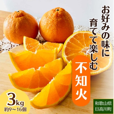 【2027年2月～4月順次発送】お好みの味に育てて楽しむ不知火　3kg　産地直送　和歌山県産【1750294】