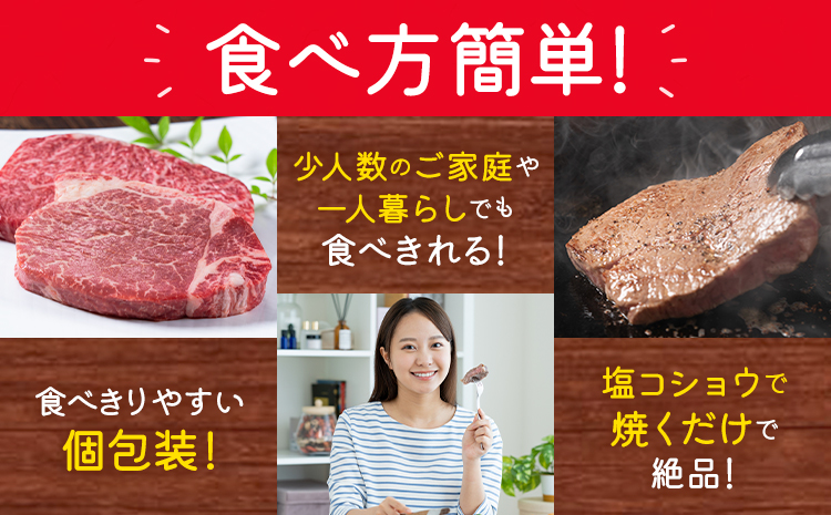 あか牛ミニステーキ ランプ部位使用 約480g 合同会社たべたせいか《30日以内に出荷予定(土日祝除く)》熊本県 菊池市 肉 牛肉 お肉 和牛 あか牛 ステーキ ミニステーキ 個包装 小分け 熊本県産