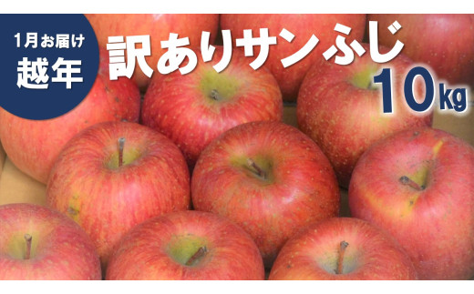 AS13 りんご サンふじ 訳あり 自家用（松川町産） 約10kg ／2027年1月中旬～2月上旬頃 配送予定 // 長野県 南信州 さんふじ サンフジ ふじりんご 訳あり 訳アリ 家庭用 自家用 年明け配送