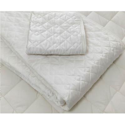 ふるさと納税 岸和田市 【シングルセット】ピュアシルク敷パッド1枚&枕パッド(M)1枚 SCC-1020S/4363 |  | 02