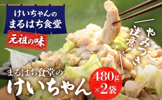  鶏ちゃん発祥の名店「まるはち食堂」こだわり抜かれた下呂の味！！けいちゃん 480g×2（約6人前）冷凍  ケイちゃん 郷土料理 まるはち 下呂市 鶏肉 味付け 味付き 焼くだけ 簡単調理 下呂温泉 