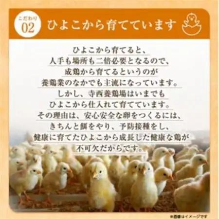 【3ヵ月毎定期便】大阪府富田林産　さしみ卵25個～30個(季節により個数・サイズが変動します)全4回【4080981】