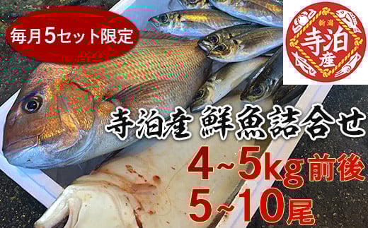 
            59-02B新潟県寺泊産【鮮魚4～5kg】詰合せ
          
