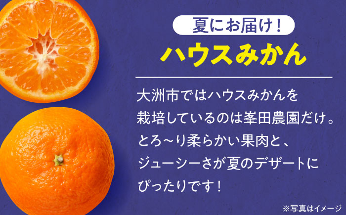 愛媛県産 プレミアム柑橘5kgセット（ハウスみかん2kg、まどんな3kg）　愛媛県大洲市/峯田農園 [AGBT012]みかん オレンジ フルーツ ミカン 果物 かき氷 みかんジュース 愛媛みかん こた