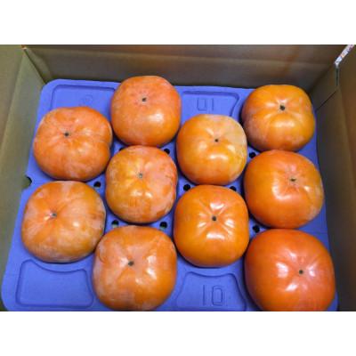 ふるさと納税 磐田市 磐田市敷地産　次郎柿　4.5kg〜5.5kg(12粒〜18粒) |  | 01