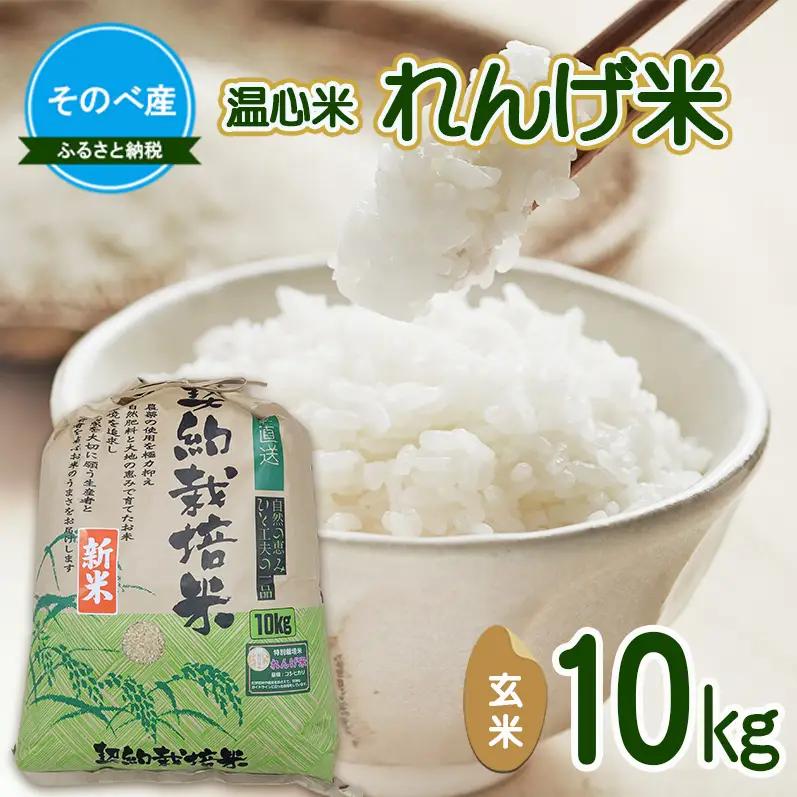 れんげ米10kg お米 玄米×1 令和7年度産 温心米 お米