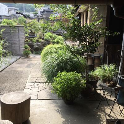 ふるさと納税 香川県 津山桧　盆景　〈白鉢〉 |  | 03